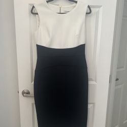Calvin Klein Dress  Size 8