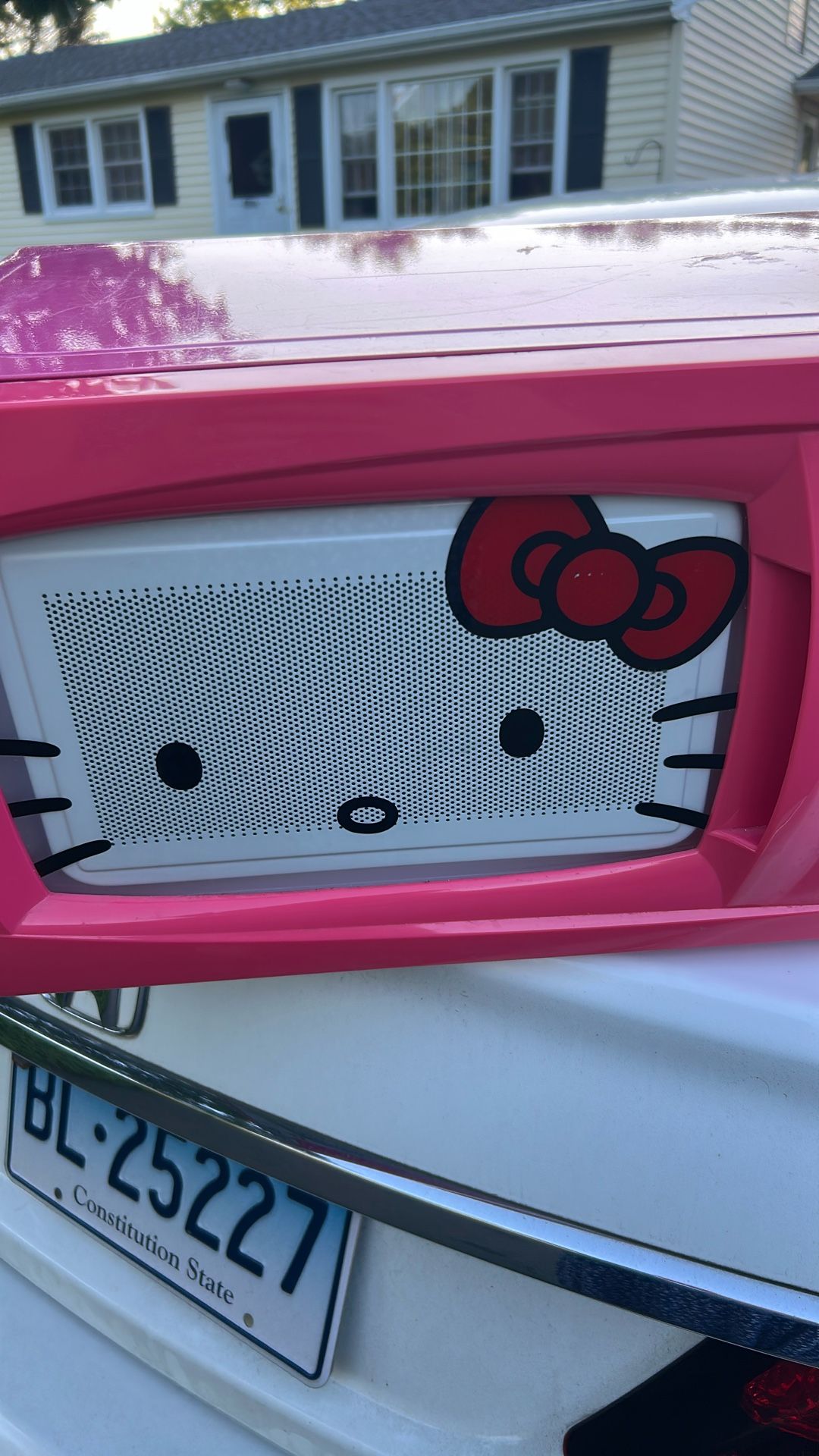 Hello Kitty Microwave