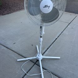 Fan 