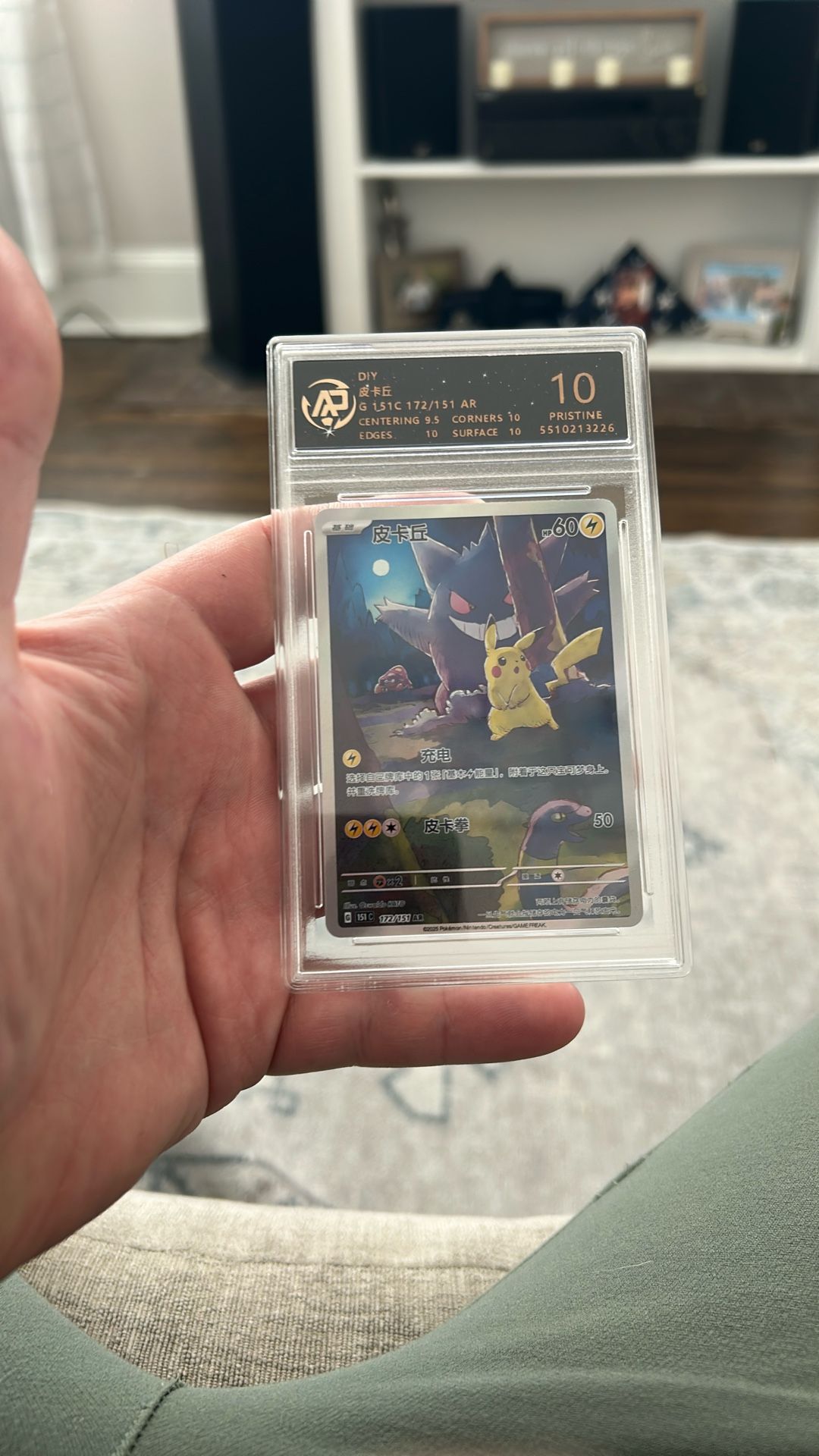 Pikachu & Gengar Japanese 10