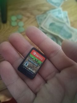 Nintendo game minecraft