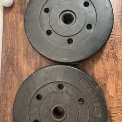 Two 15lbs Bumper Weights