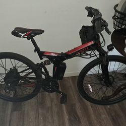VIVI E BIKE