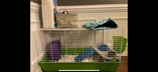 Hedgehog Cage-with Extras (see Post)