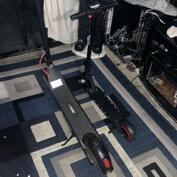 Eletric Scooters 