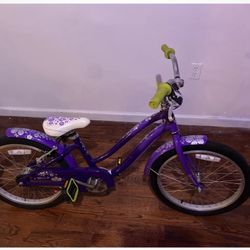 GIANT BELLA BIKE 20 INCH