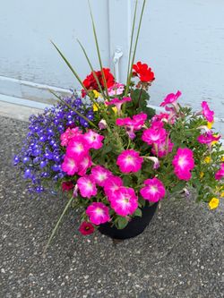 Outdoor planter