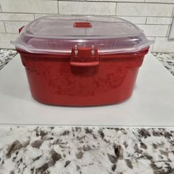 Systematic Microwave Steamer