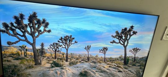 50 inch tv