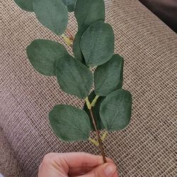 Artificial Eucalyptus Leaf Stems