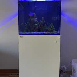 Red Sea Reefer 170 Reef Aquarium System – Complete Setup (Everything Included)