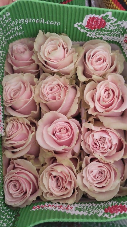 Venta De Rosas Y Arreglos Florales