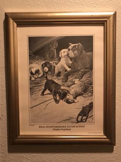Pictures of pitbull puppies little print it the 40s or 50
