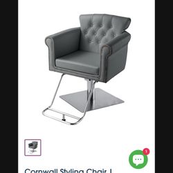 Hair Stylist Chairs 2