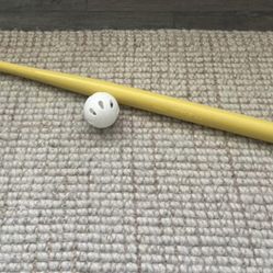 Wiffle Ball 