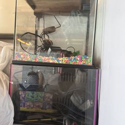2 Medium Sized Fish Tanks