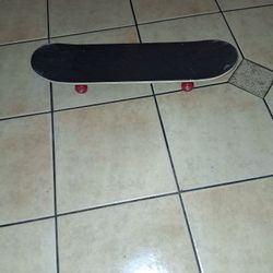 Patineta