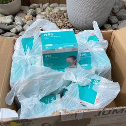 N95 Mask