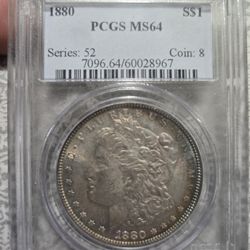 Morgan 