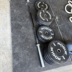 ROGUE Echo Bumped Plates V2 420 Lbs +Ohio bar