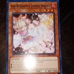Ash Blossem & Joyous Spring