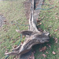 Driftwood