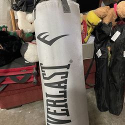 Punching Bag