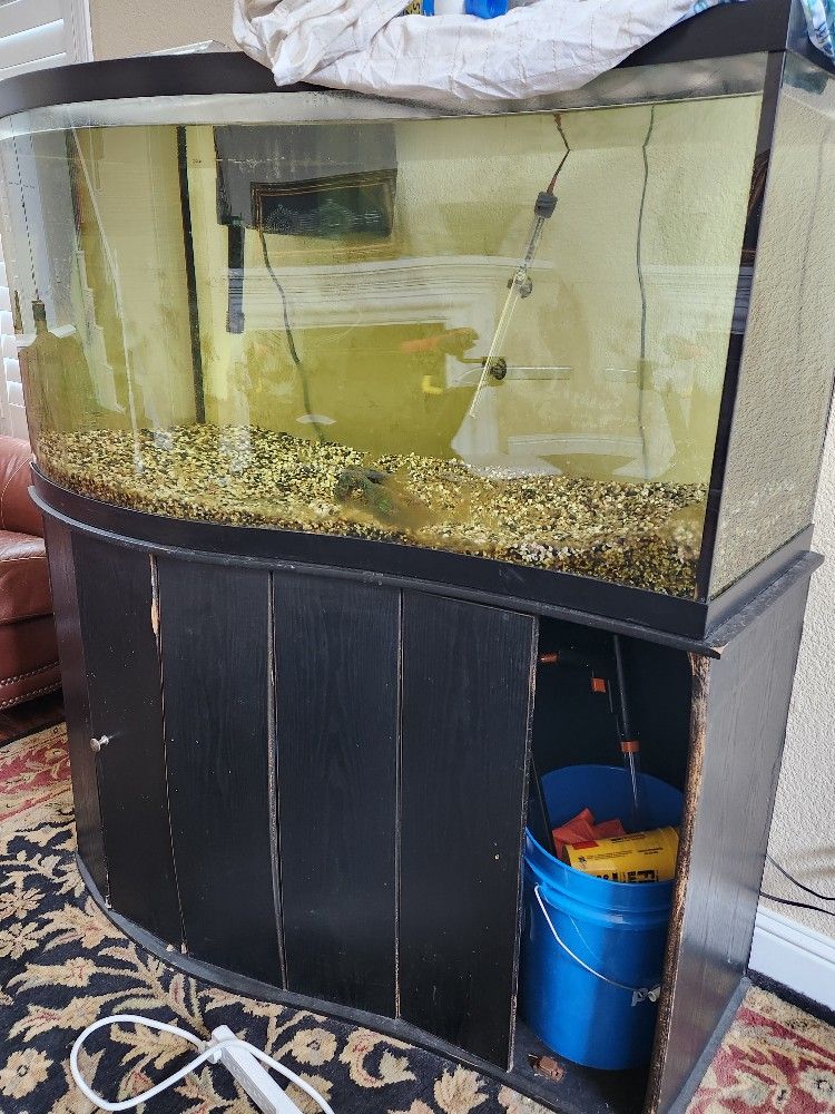 90 Gallon Wave Front Fish Tank Aquarium