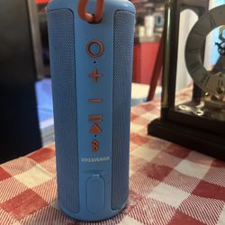 Loud Speaker 