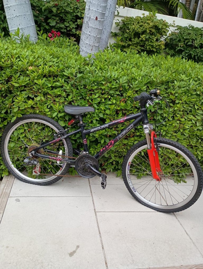 Samurai Norco Bike