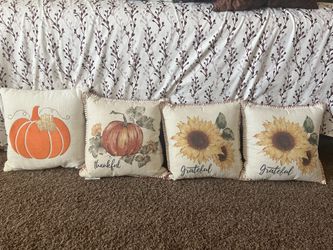 Decorative Pillows