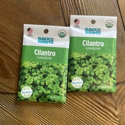 Cilantro Seeds