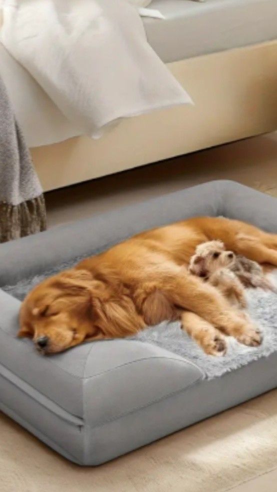 Dog Bed