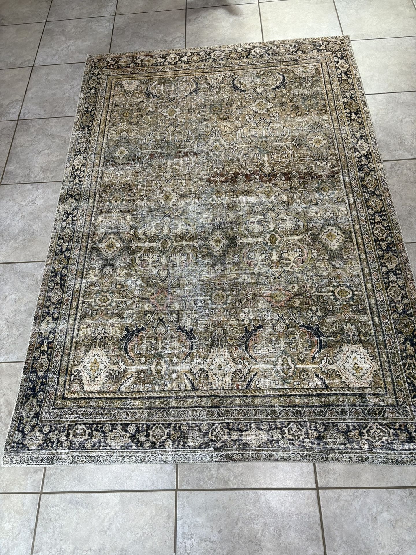 LOLOI 5x8 Area Rug New