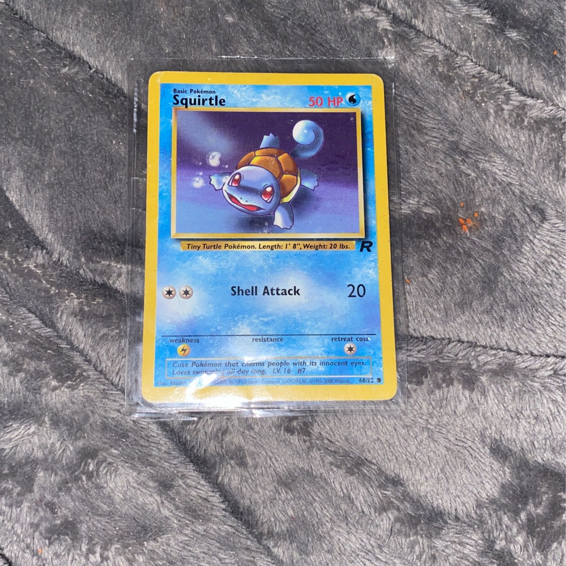 Pokémon team rocket squirrel