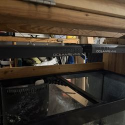 Fish Tank Reef Light 