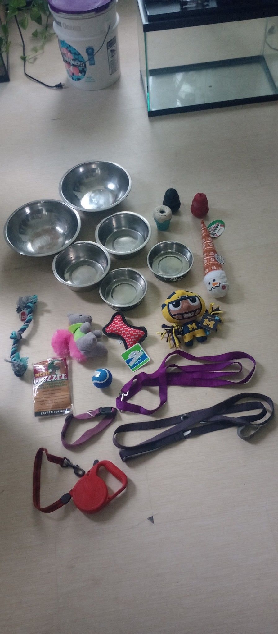 ๐ Bowls & Toys & Leashes