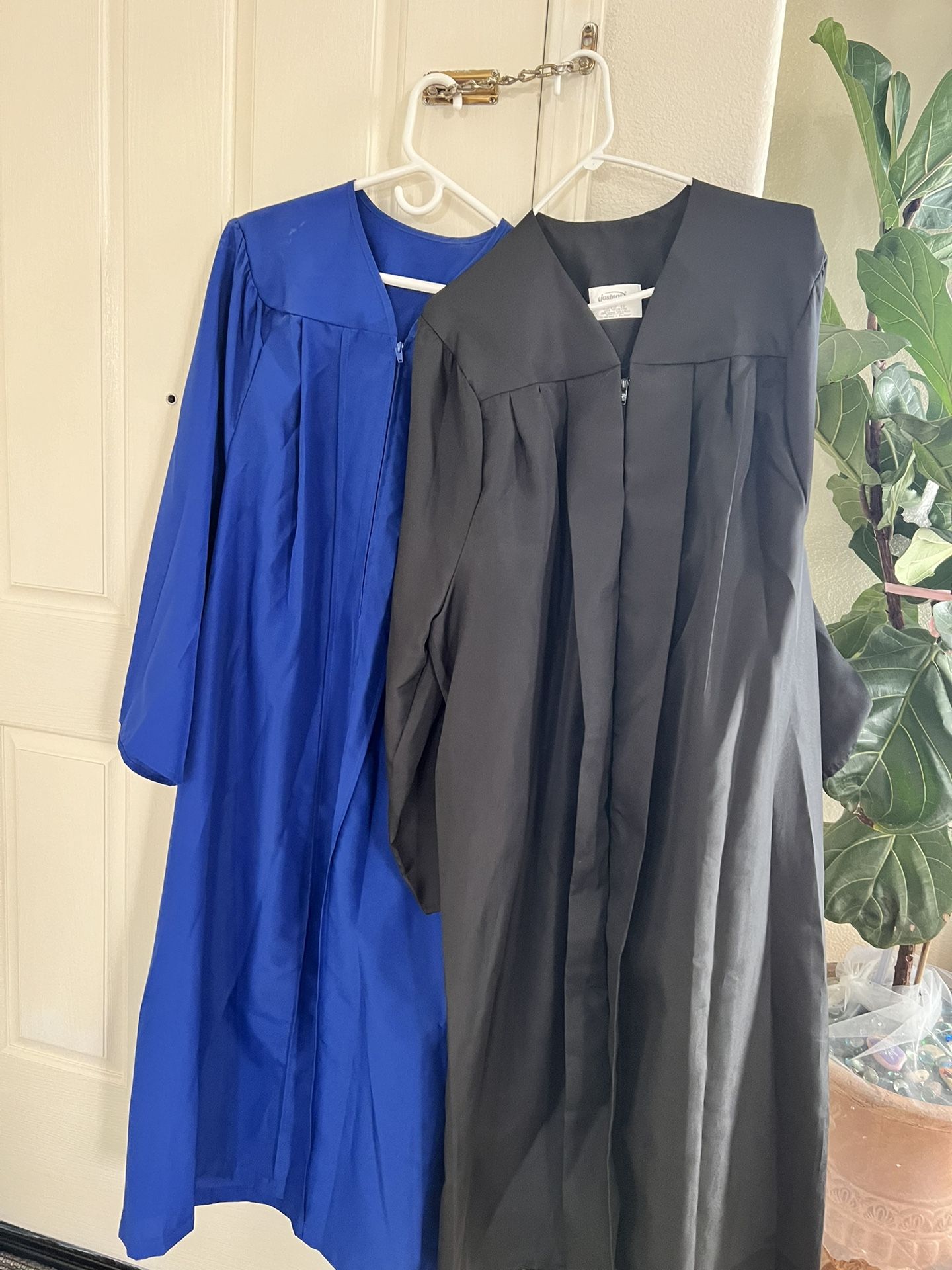 Graduation Gown