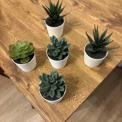 Fake Plants 1$ Each Or $3 For All 