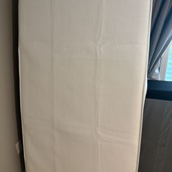 Twin Mattress And Box Spring