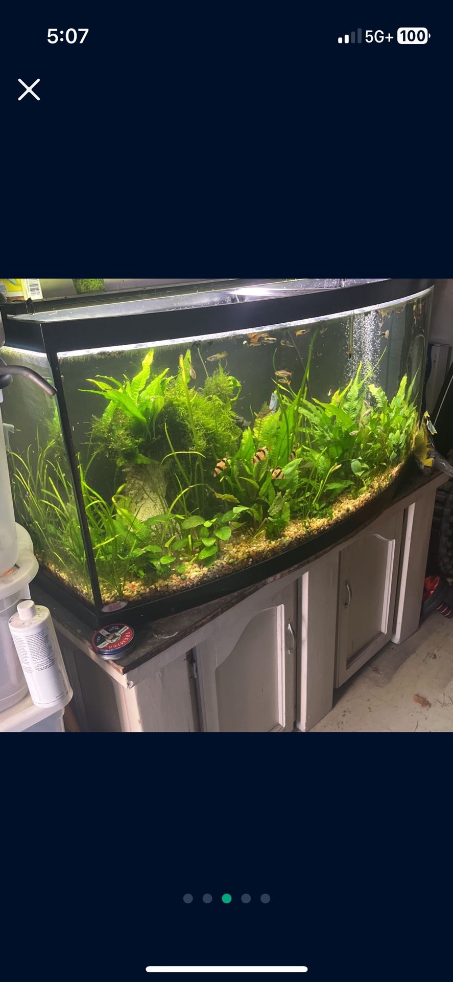 70 Gallon Fish Tank