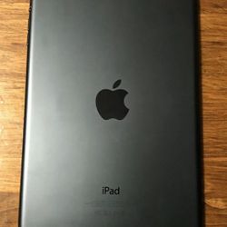 Mini Apple 🍎 iPad