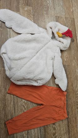 24 month chicken costume