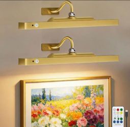 Gold Picture Wall Lights with Remote, Set of 2