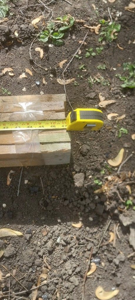 Wood Great Condiction