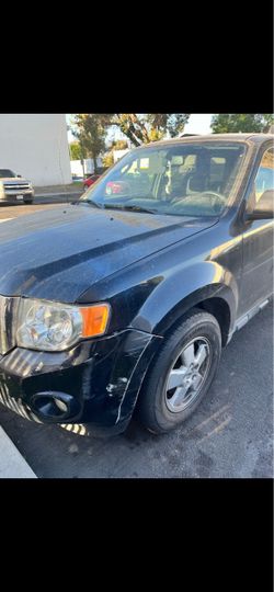 Ford Escape 2012 LX