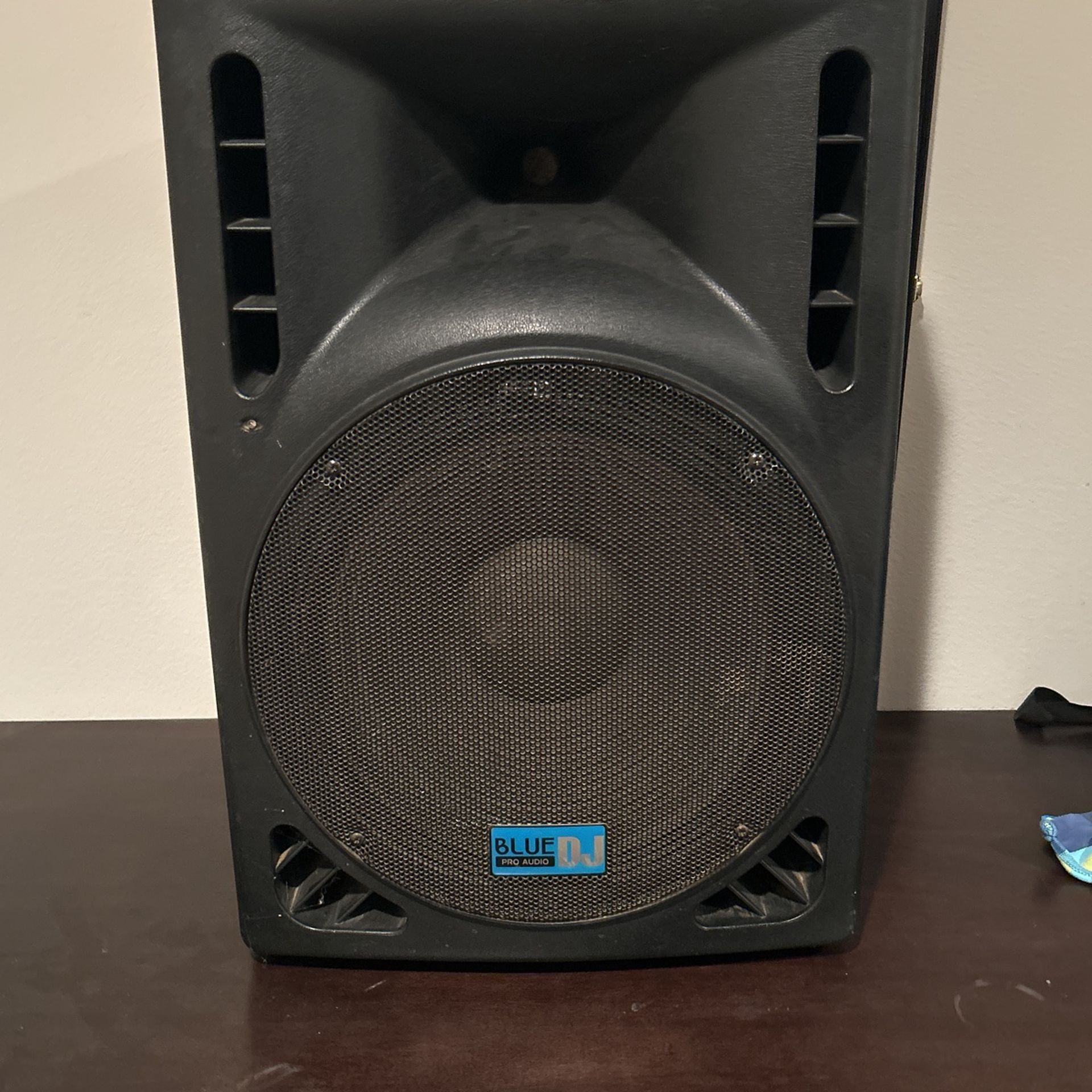 15 inch speaker