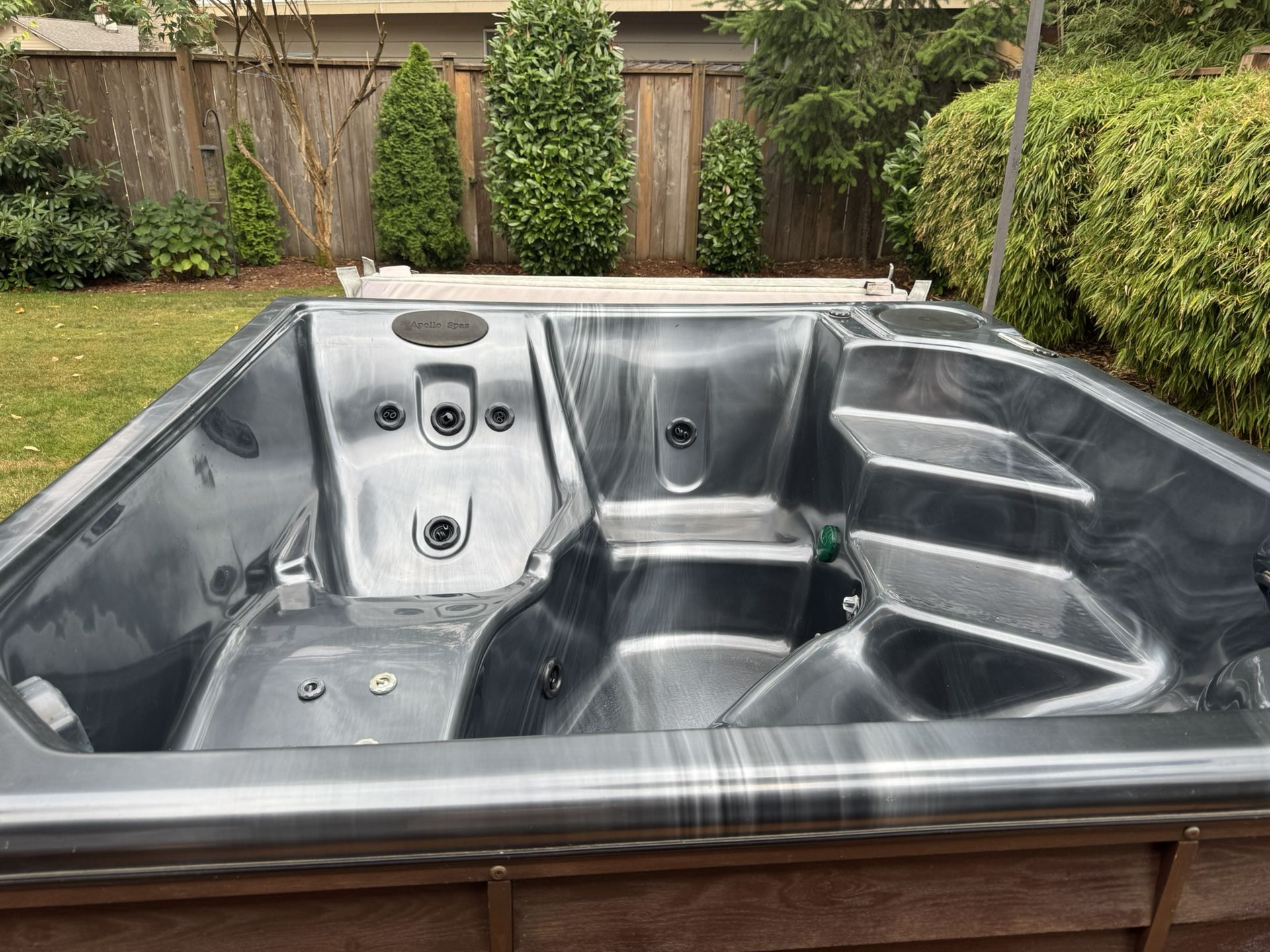Apollo Spa Hot Tub 