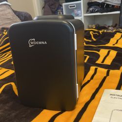 Mini Fridge