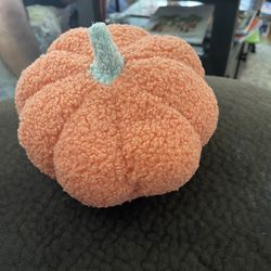Pumpkin Decor 